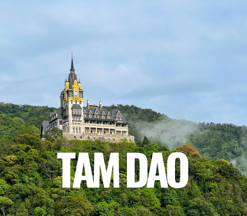 Tam Đảo